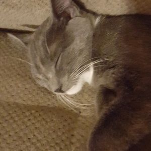 Meet your Posher, Karla